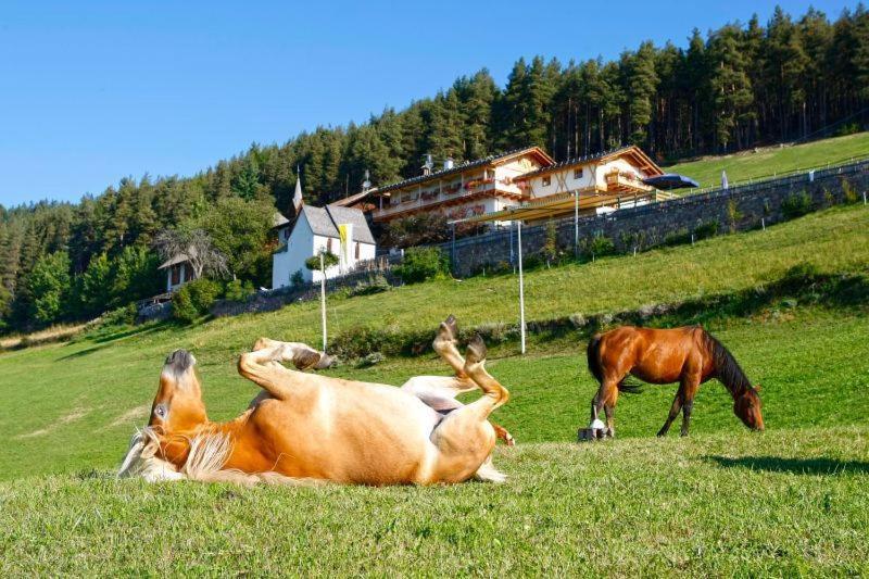 Gasthaus Bad Siess Longostagno Экстерьер фото