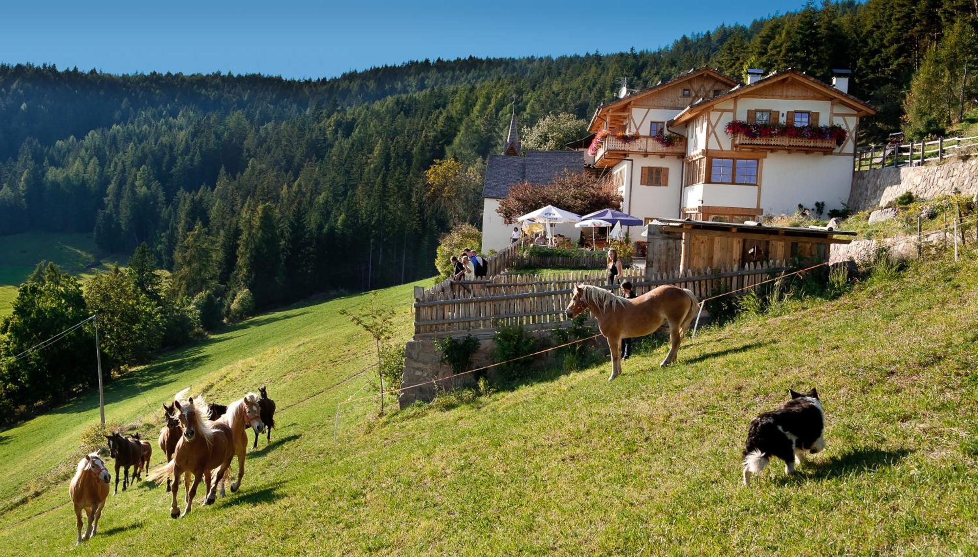Gasthaus Bad Siess Longostagno Экстерьер фото